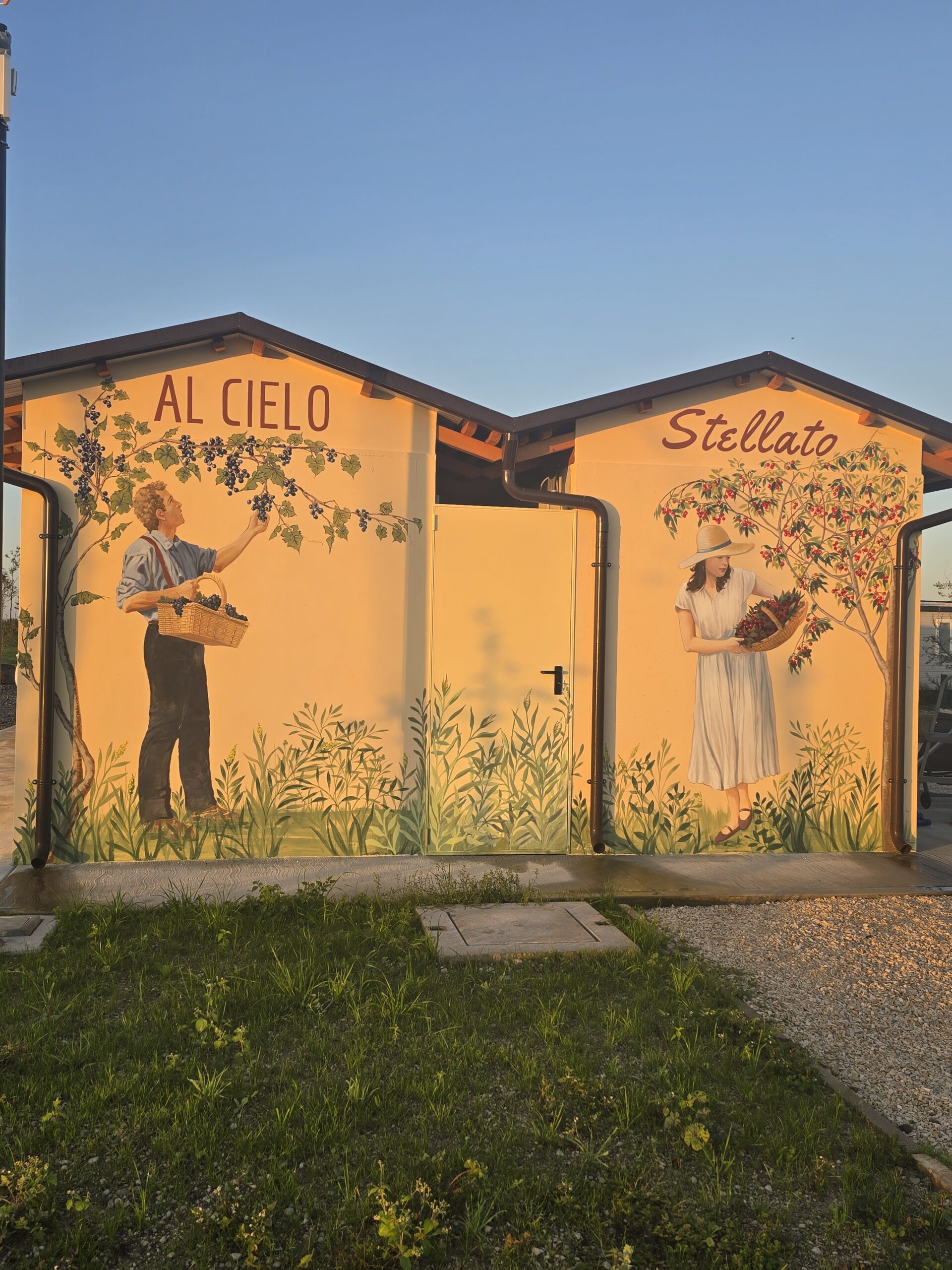 Al cielo stellato — photo 2